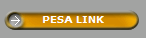 PESA LINK