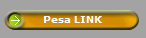 Pesa LINK