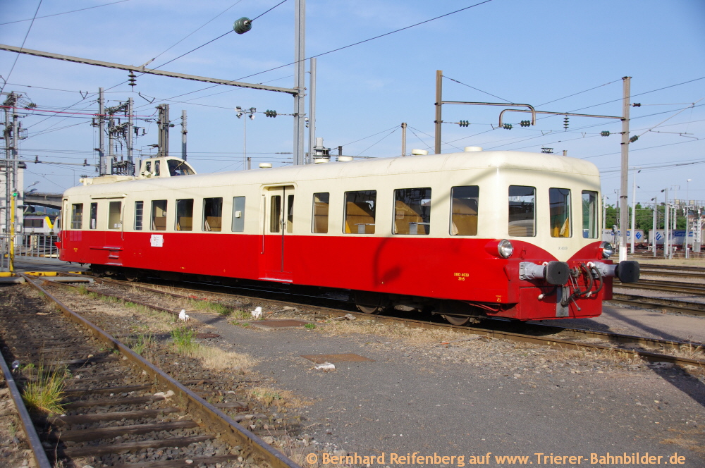 Bild 81