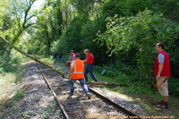 Bild 12